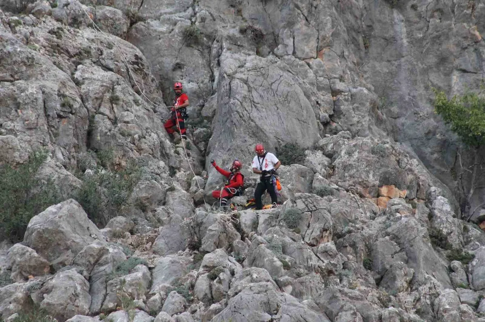 Keçilere kurtarma operasyonu düzenlendi, gerçek başka çıktı 