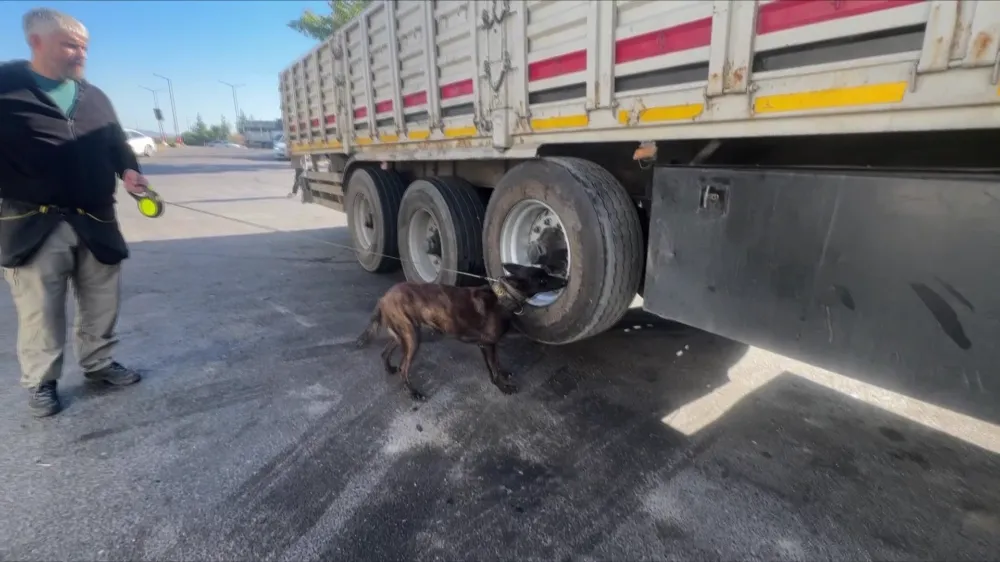 Tırın lastiğinde 53 kilogram esrar çıktı 