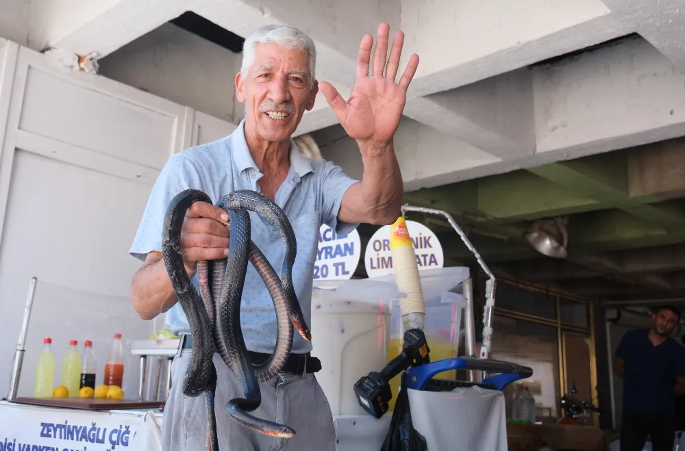 Koynunda beslediği yılanlar böyle ısırdı 