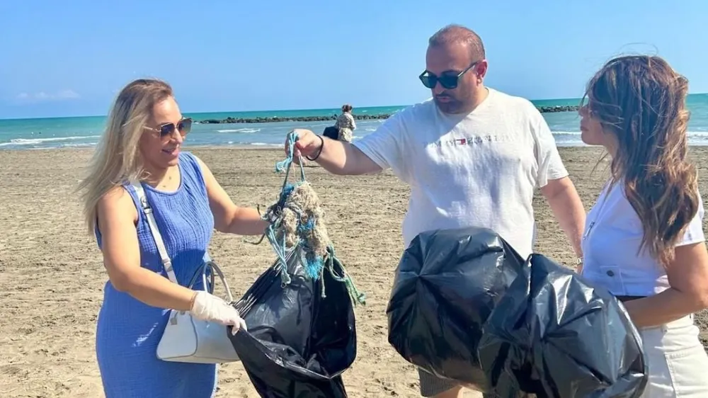 Caretta cerattalar için temizlik 