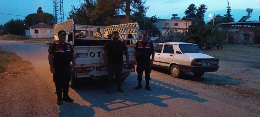 Koyunları çalıp sattı, eğlence mekanında yakayı ele verdi 