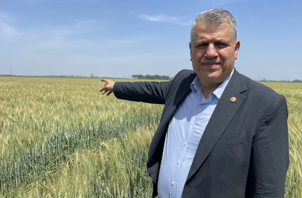 Buğdayda Yüzde 50 Kayıp Yaşanacak”