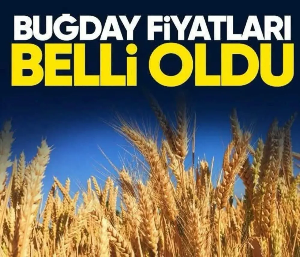 TMO  MAYIS AYI FİYATLARINI AÇIKLADI...