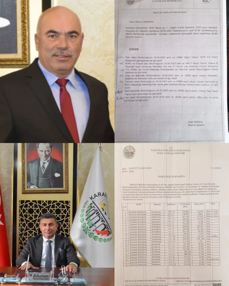 KARAİSALI İLÇESİNE KARA ŞİMŞEK ÇAKTI