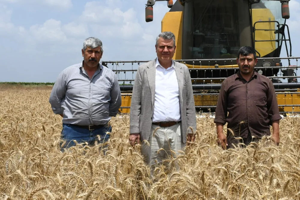 Buğday Rekoltesinde Korkutan Düşüş