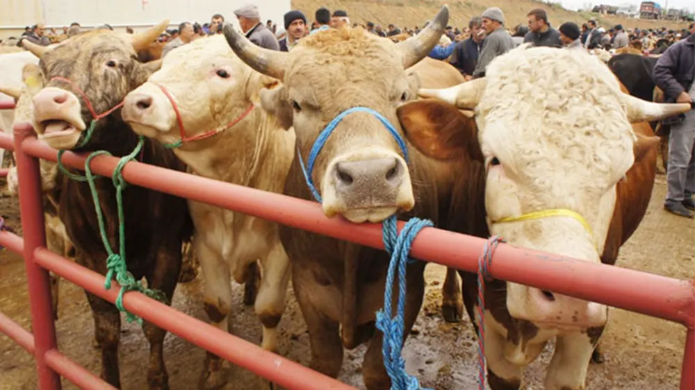 Başkan Yağmur Açıkladı: İşte Adana