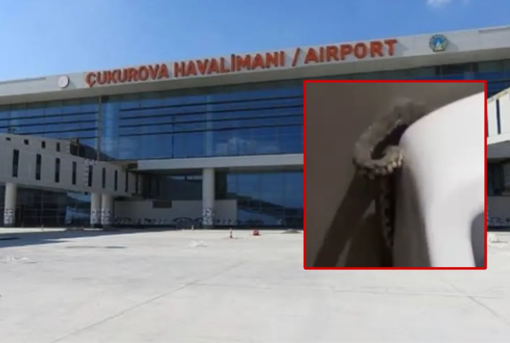 Havalimanı Tuvaleti Yılan Barınağı!