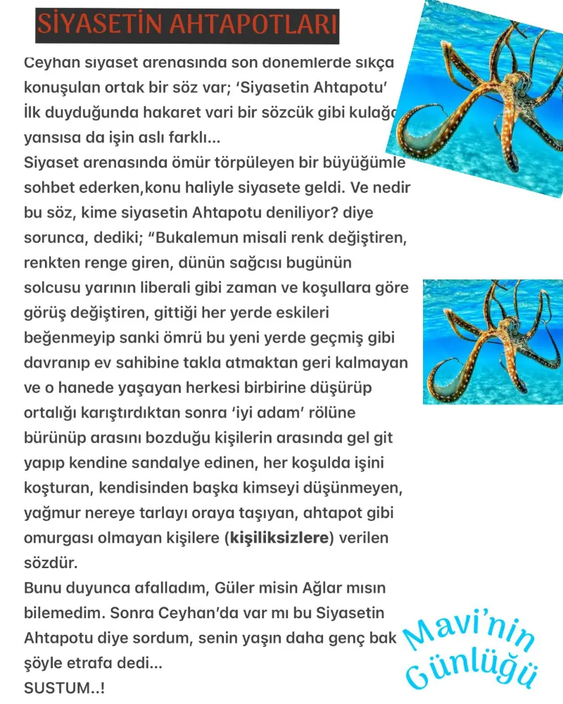 Bu ahtapot baska ahtabot