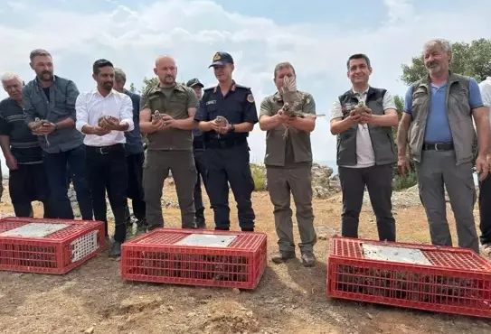 Kene Yüzünden Doğaya Keklik Salındı