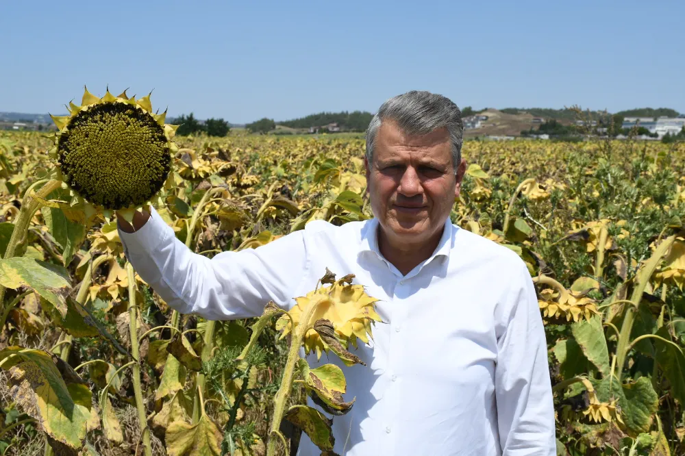 İktidarın sıfır gümrük vergili ithalat aşkı bitmiyor