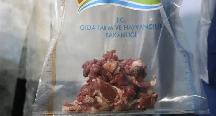 Adanalılar ne yiyeceğini şaşırdı! Yine at eti çıktı! 
