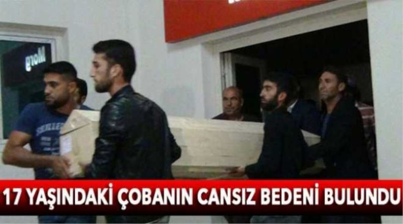 17 yaşındaki çobanın cansız bedeni bulundu