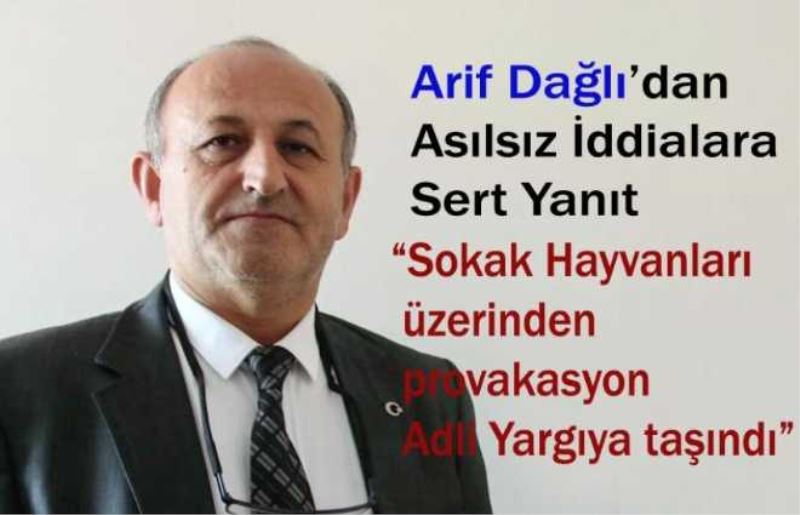 Arif Dağlıdan Sokak Hayvanları İle İlgili Asılsız İddialara Cevap