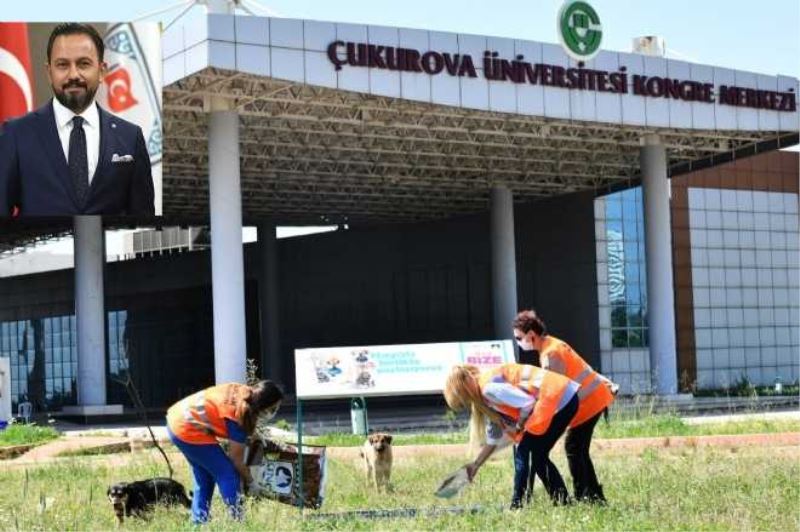 SARIÇAM BELEDİYESİ SOKAK HAYVANLARINI UNUTMUYOR