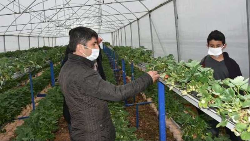 Tufanbeyli, fasulye ve nohutta markalaşma yolunda