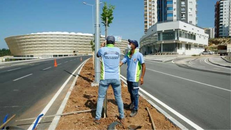 Büyükşehirden asfalt, bisiklet yolları, peyzaj ve düzenleme