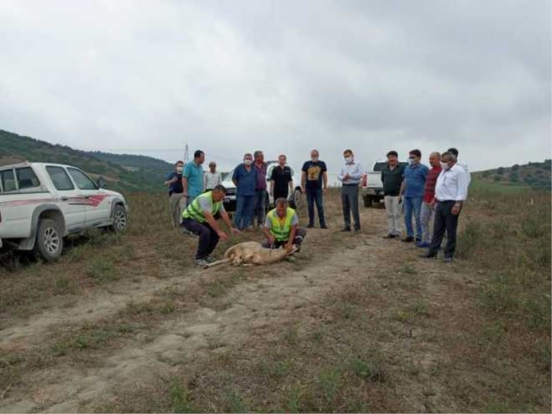 CEYHAN OSBDE YATIRIMLAR BAŞLADI