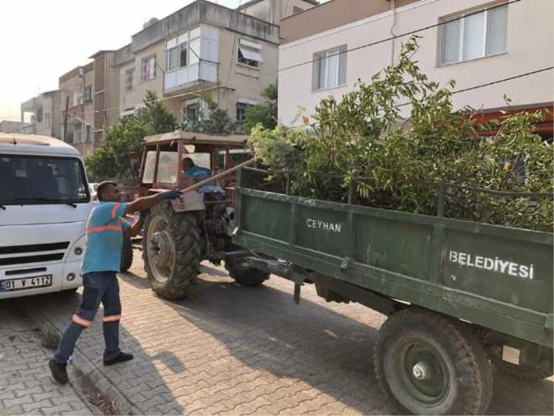 CEYHAN BELEDİYESİ TEMİZLİK İŞLERİ EKİPLERİ ÇALIŞMALARINA HIZ KESMEDEN DEVAM EDİYOR